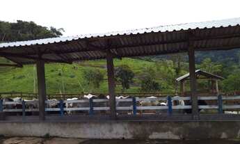 Imagem 5: Fazenda 80 hectares Juiz de Fora