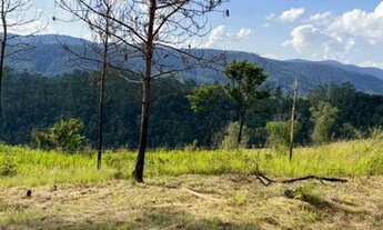 Imagem 7: Terrenos na planta