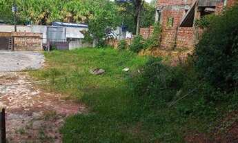 Imagem 3: Terreno medi 10x50