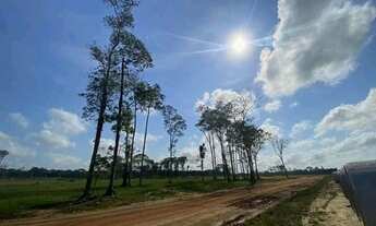 Imagem 3: Terreno à venda na Augusto Montenegro - Belém/PA