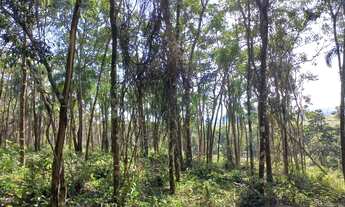 Imagem 4: 29 Lotes Planos de 1000m² em Ibiúna-SP 17ABNVD