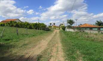 Imagem 2: Terreno 1.000 m2 água enc. lúz internet Escritura Iptus ok. Ref. 108 Silva corretor