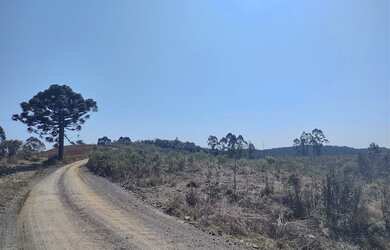 Imagem 5: Terreno Rural em Campo Alegre - SC