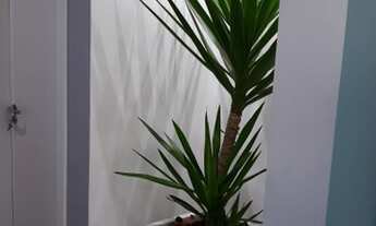 Imagem 6: ACLIMAÇÃO - 110 m²,3 dorms (sendo 1 suíte),2 vagas fixas,depósito,lazer completo,próx. Pq