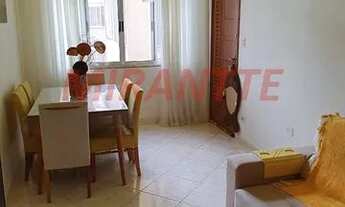 Imagem 2: Lindo apartamento em Vila Constança