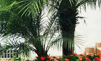 Imagem 4: Casa Residencial c/ 3 quartos sendo 1 suíte e piscina em Chapada