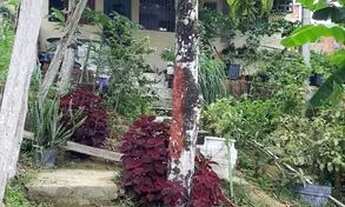 Imagem 3: Casa para alugar