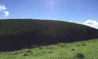 Imagem 2: Sítio 14 ,04 alqueires , com vista deslumbrante em Pindamonhangaba - SP