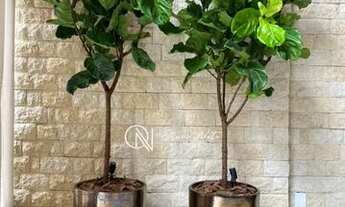 Imagem 6: Edifício Seven Residence