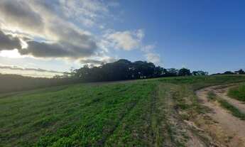 Imagem 7: Lote plaino em Cotia!