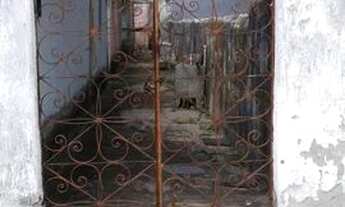 Imagem 4: Vende-se Casa com 1 dormitório