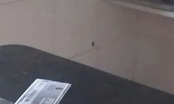 Imagem 5: Aluga se uma casa no vale dourado