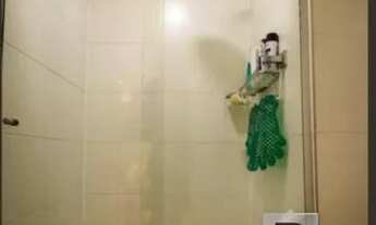 Imagem 6: Belo apto no Brás