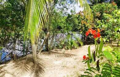 Imagem 7: Casa duplex 4 suítes, alto padrão, com acesso ao rio e em condomínio fechado!