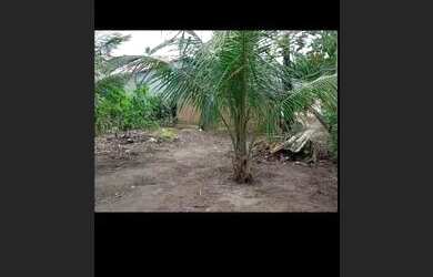 Imagem 2: Vendo pequeno sítio em cupissura,caaporan