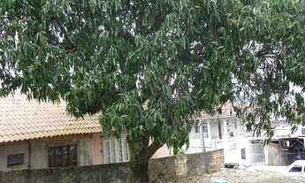 Imagem 3: SãO JOSé - Terreno Padrão - Barreiros