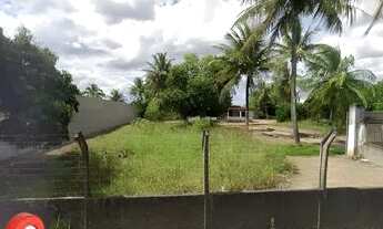 Imagem 2: Alugo-Para Comércio em Área Mais Valorizada da Avenida Artêmia Pires-Sim