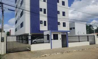 Imagem 2: Jardim camboinha