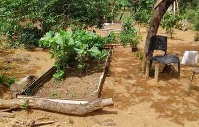 Imagem 2: VENDO CHÁCARA RICA EM ÁGUA E PRODUÇÃO NA PONTE ALTA CASA GRANDE