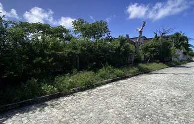 Imagem 4: Terreno - Barra dos Coqueiros