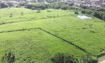 Imagem 5: EXCELENTE ÁREA PARA LOTEAMENTO - ESTRADA NOVA TREMEMBÉ - SP