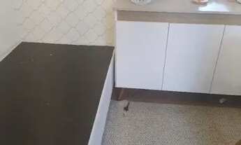 Imagem 6: Aluga-se quarto em Campo Belo SP