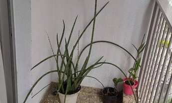 Imagem 6: Apartamento com 3 dormitórios, R$ 730 mil