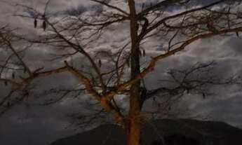 Imagem 2: Casa com 2 dormitórios à venda, 102 m² por R$ 445.000,00 - Parque do Ingá - Teresópolis/RJ