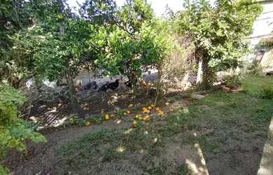 Imagem 3: Casa a venda Casa com 2 dormitórios