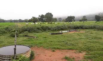 Imagem: Fazenda 2.700 hect em rosário do oeste