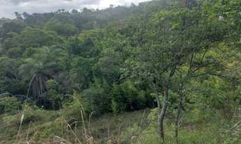 Imagem: 10000 metros com curso dágua no centro