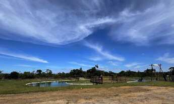 Imagem 3: LOTEAMENTO NA CHAPADA DIAMANTINA A PARTE DE 24 MIL
