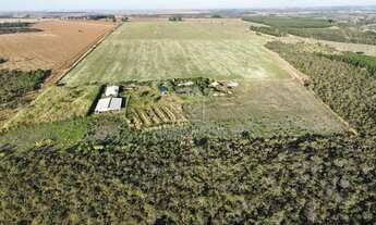 Imagem 3: ALEXANIA -GO FAZENDA COMPLETA 7,5 ALQUEIRES PARA VENDA