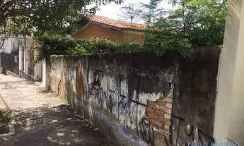 Imagem 5: TERRENO - JARDIM RIBEIRO - SP