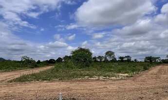 Imagem 5: Vendo terrenos em São José, Feira de Santana