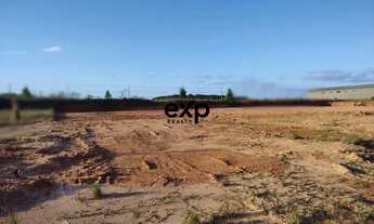 Imagem 3: Lote Industrial c/ 3.534,14 m², na Fazenda Rio Grande/PR, próximo à BR-116