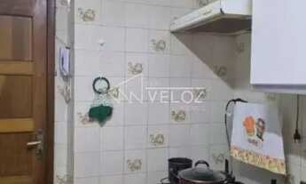 Imagem 7: Apartamento - / Residencial / Glória