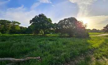 Imagem 7: Imóvel para venda possui 2000 metros quadrados em Água Branca (Bacaxá) - Saquarema - RJ