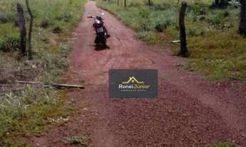 Imagem 5: Fazenda à venda por R$ 1.400.000 - 20 Km de Taquarussu - Palmas/TO