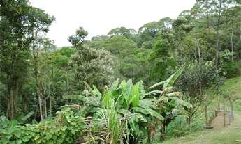 Imagem 4: Terreno à venda em Rio Grande - SP