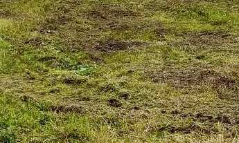 Imagem 2: Terrenos e Lotes em Feira de Santana