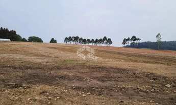 Imagem 6: Terreno com 30.000 m2 no distrito industrial de São Francisco de Paula