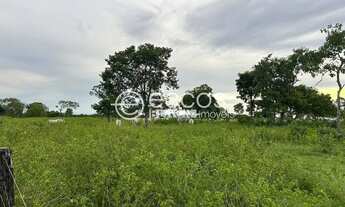 Imagem 4: Fazenda à venda, Área Rural - Paranã/TO