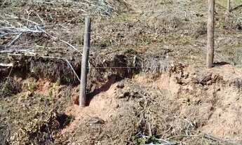 Imagem 12: Lote a venda Bairro São Judas Tadeu Conselheiro Lafaiete MG