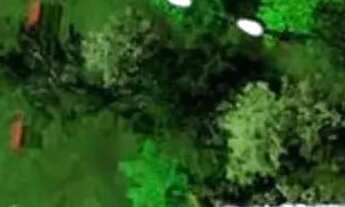 Imagem 5: Condomínio Belas Artes - Vila Planalto - Campo Grande -MS