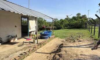 Imagem 2: Vendo sítio na Br 174, ramal São Francisco