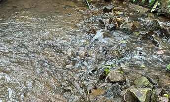 Imagem 5: Área Pinhal Alto- Nova Petrópolis/RS