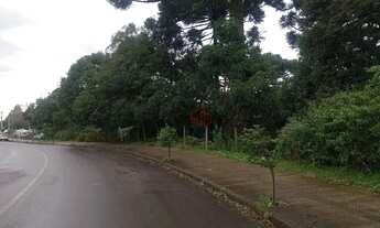 Imagem 4: Terreno à venda em Canela!