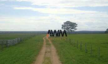 Imagem 2: Fazenda à venda, 21000 m² por R$ 450.000.000,00 - Novo Diamantino - Diamantino/MT