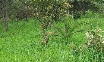 Imagem: CHÁCARAS com 1000mts perto de BH, 2x